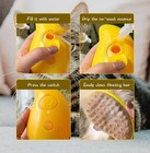 Tiktok Viral 3 In 1 Dog Cat Steam Brush Pet Electric Massage Comb Hair Spray