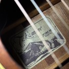 Takamine Ef740sgn 6-string Right-handed Acoustic-electric Guitar - Natural
