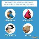Pennington Select Mealworms  Bluebird And Wild Bird Food  17 6 Oz  Bag  1 Pack 