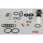 Dayton 22a610 Pump Repair Kit buna N air 11 16 In 