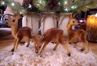 Vtg Fine Collectibles Triplets Spotted Fawn Molded Plastic Figurines Hong Kong