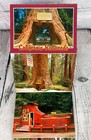 Vtg Set 9 California Redwoods Post Card One Log House redwood Shoe chimney Tree