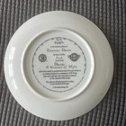 Vintage Bradford Exchange Diana Princess Of Whales James Griffin Collector Plate