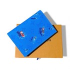 Louis Vuitton Blue Leather Passport Holder With Sleeves Included