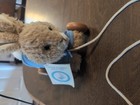 Vintage Eden Eden Peter Rabbit Plush Pull Toy Beatrix Potter Collection 1996