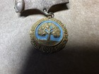 1964-65 National Congress Of Parents And Teachers Oak Pin Gf Vintage Pta