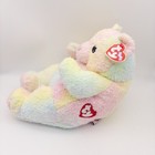 New Ty Baby Plush Bearbaby Bear Rainbow Pastel 1999 Pillow Pal Rattle Stuffed