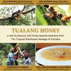 Tualang Black Honey 10oz   Total Activity 11 5    Pollen 4m    Intense