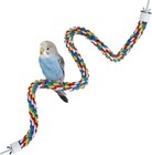 Parrot Hanging Braided Budgie Chew Rope Bird Cage Cockatiel Toy Pet Stand Swing