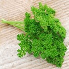 Forest Green Parsley Seeds   Heirloom   Non-gmo   Free Shipping   Herb Seed 1132
