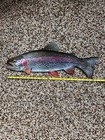 Rainbow Trout Replica - 26 Inch 2d Realistic Trout Fish Art  Rustic Wall Decor