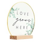 Inspirational  love Grows Here  Translucent Tabletop Plaque With Solid