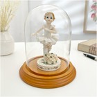 Plymor 4  X 5 25  Glass Display Dome Cloche  oak Veneer Base 
