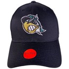 South Bend Silver Hawks Milb Baseball Hat Cap Minor League Arizona Diamondbacks
