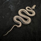 1 Pc Real Animal Taxidermy Real Snake Skeleton Bone Skull Animal Specimens 