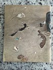 Vintage 1964 Birks Catalog Omega Watches Sterling Silver Fine Jewelry Gold Rings