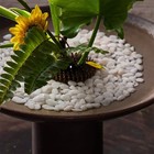 White Aquarium Gravel Pebbles 2 Lb 3 8  Natural Fish Tank Substrate Mini Stones