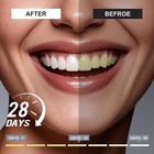 7 5  Hydroxyapatite Toothpaste 4 Pack Fluoride Free Fresh Mint Whitening