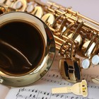 Brass Trumpet Mouthpiece Replacement Mouthpiece Musical Instruments Beginners