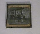 Glass Magic Lantern Slide Ostriches C1900 Victorian Zoo Photo Ostrich