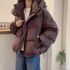 Parkas Jacket Women New Autumn Winter Hooded Thicken Warm Down Cotton Female Top