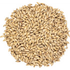 Brewers Malt 2-row Briess 10 Lb Homebrewing Beer Making Grains