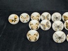 Ravinte 24 Butterfly Knobs Cabinet Drawer Hardware White 1 5  2 Styles sizes