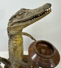 Vintage Novelty Alligator Standing Full Body Mount Butler With Ashtray 2 Ft Long
