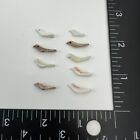 Lot Of 10 Vintage Carved Shell Bird Fetish Beads Randomly Chosen