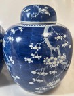 Pair Of Antique Chinese Qing Blue   White Prunus Porcelain Ginger Jar 