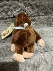 Kids Preferred Curious George Monkey Stuffed Animal 8 Inches  Multi-color