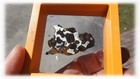 Sericho Pallasite Meteorite Slice Weight 3 3g Polished Slab Olivine Stone