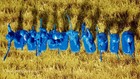 Armies In Plastic Boxer Rebellion 1900 Chinese Boxers 54mm 1 32 Scale