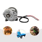 High Power 12v 250w Gear Reduction Motor For E-bike  Scooter  Atv