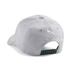 Puma Mercedes-amg Petronas Cap Formula One Team Racing Gray