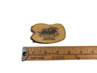 Wyoming Montana  Yellowstone National Park Souvenir Refrigerator Fridge Magnet