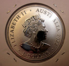 2022 Australia  5 Five Dollar  Silver Proof Coin Dusky Dolphin 1oz 0 999 Ag