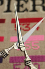 Sajou Embroidery Scissors Eiffel Tower Chrome With Pink Charm