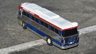 Dina Bus
