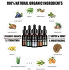 Luxury Beard Oil Collection  Soothing Scents   Moisturizing Formula For Men