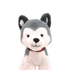 Fao Schwarz Plush Husky Dog Stuffed Animal Gray White Wolf Realistic Toy