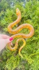 Usa Handmade Christmas Figurine Snake Trend 2025 Amber Magical Decor Kizima
