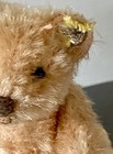 Vintage Miniature Steiff Peachy Brown Mohair Teddy Bear  3    W id Sweet 