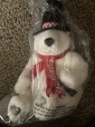 Coca Cola Polar Bear Plush Stuffed 2000 Top Hat 14 Inch With Tags Sealed In Bag