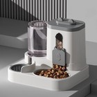 Automatic Pet Feeder Cat Dog Food Bowl Water Fountain Spill Proof Feeding Statio