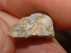Blue Mtns  Oregon Natural Gold Quartz Specimen 1 52 Gram Gold