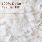 Down Feather Throw Pillow Inserts 24x24 Euro Pillow Inserts  Soft Fluffy Thro   