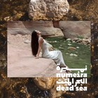 Dead Sea Magnesium Flake Bath Soak - 100  Pure Unscented Magnesium Chloride F   