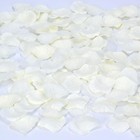 2000 Pcs Silk Rose Petals For Wedding  Valentine s Day  Anniversary Decor