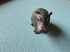 Schleich House Hippo Calf 2012 Baby Hippopotamus Sitting 14682 Retired Figure